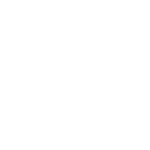 686e7b8873894_X8108_100-percent-logo-white